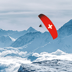 Amazing Andromeda Galaxy